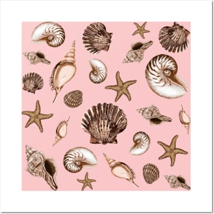 Coastal seashells on pink Posters and Art